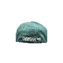 Chanvre DC Casquette Flexfit Vert