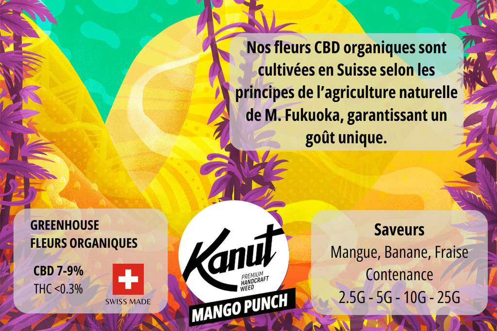 KANUT_MangoPunch_2,5GR_Back.jpg