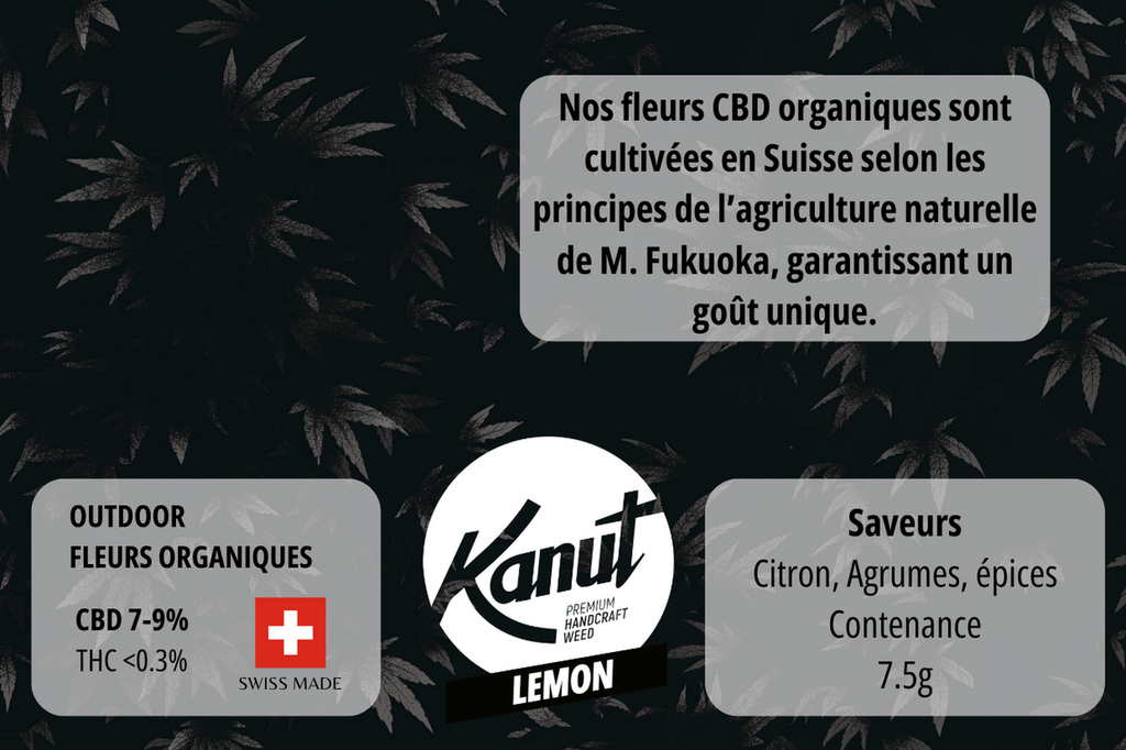 KANUT_LemonOutdoor_7,5GR_Back.jpg