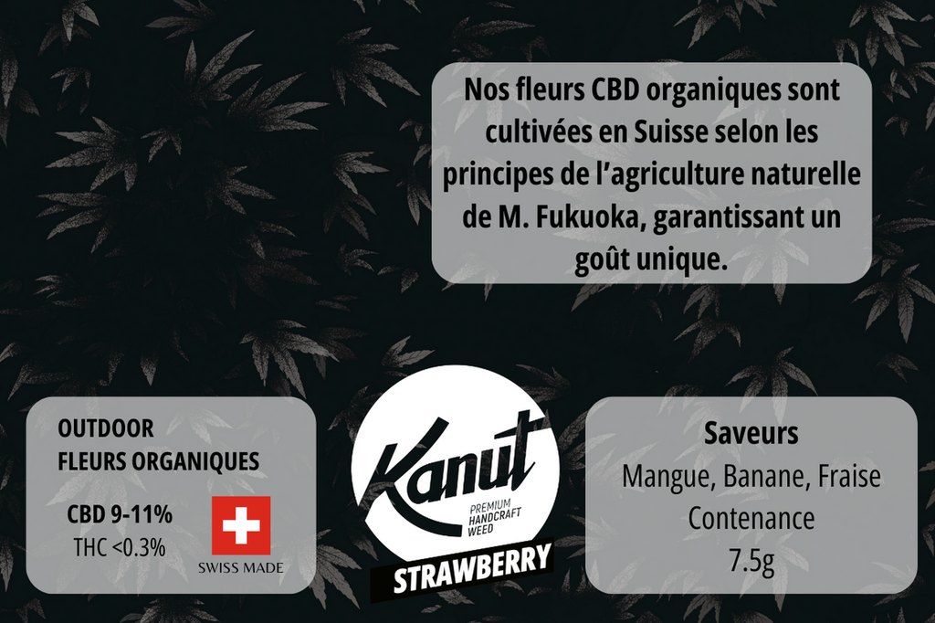 KANUT_StrawberryOutdoor_7,5GR_Back.jpg