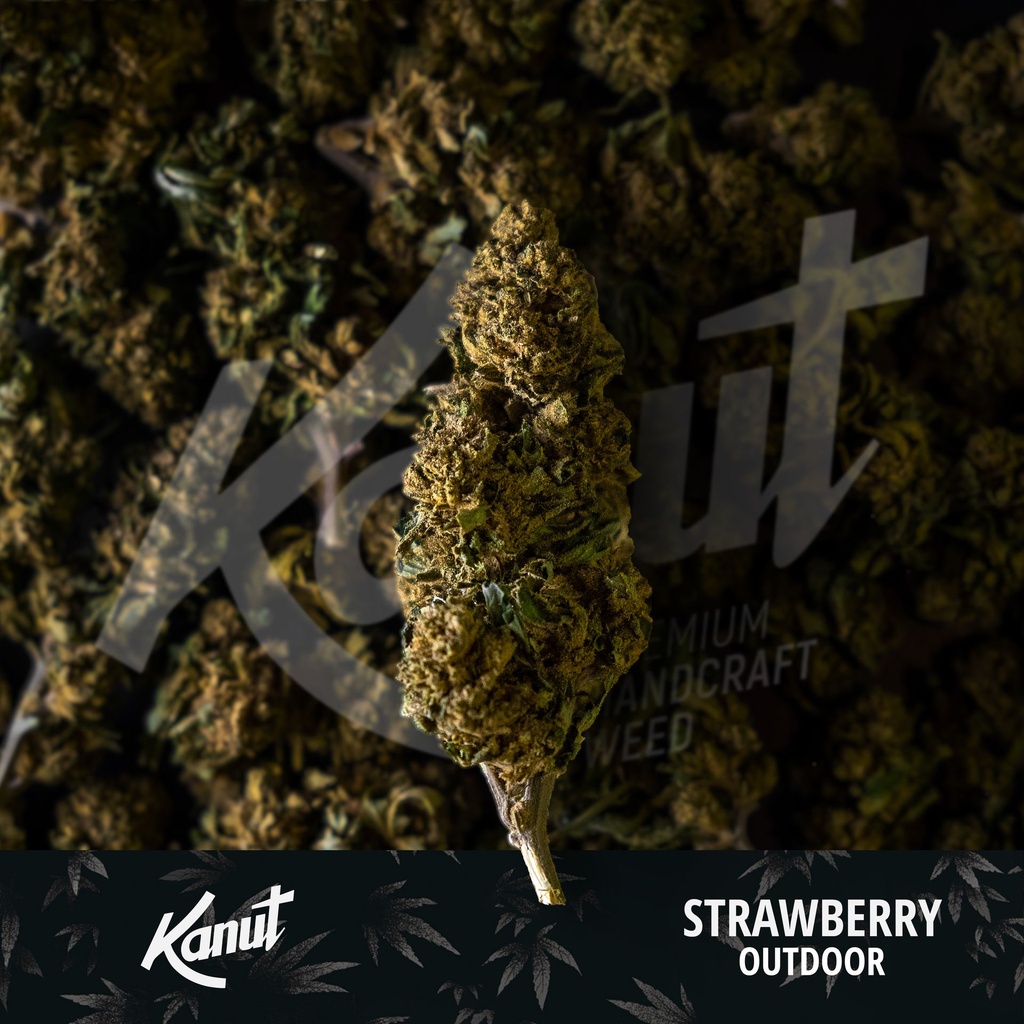 KANUT_Strawberry_Outdoor_Lot.jpg