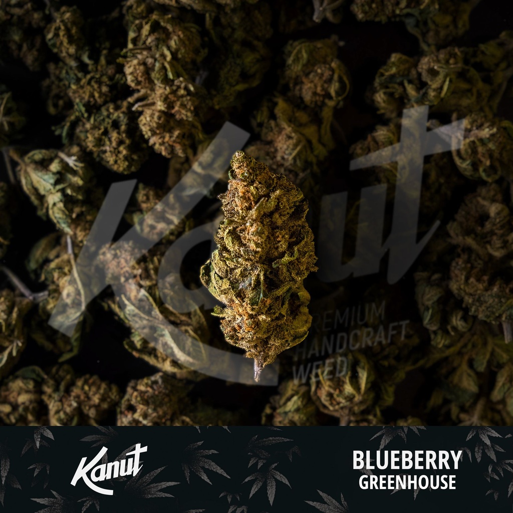 KANUT_Blueberry_Greenhouse_Lot.jpg