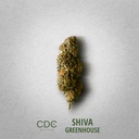 CDC_Shiva_Greenhouse.jpg