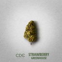 CDC_Strawberry_Greenhouse.jpg