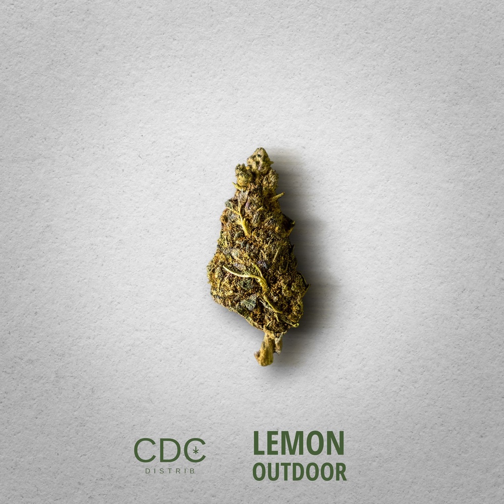 CDC_Lemon_Outdoor.jpg