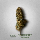 CDC_Strawberry_Outdoor.jpg