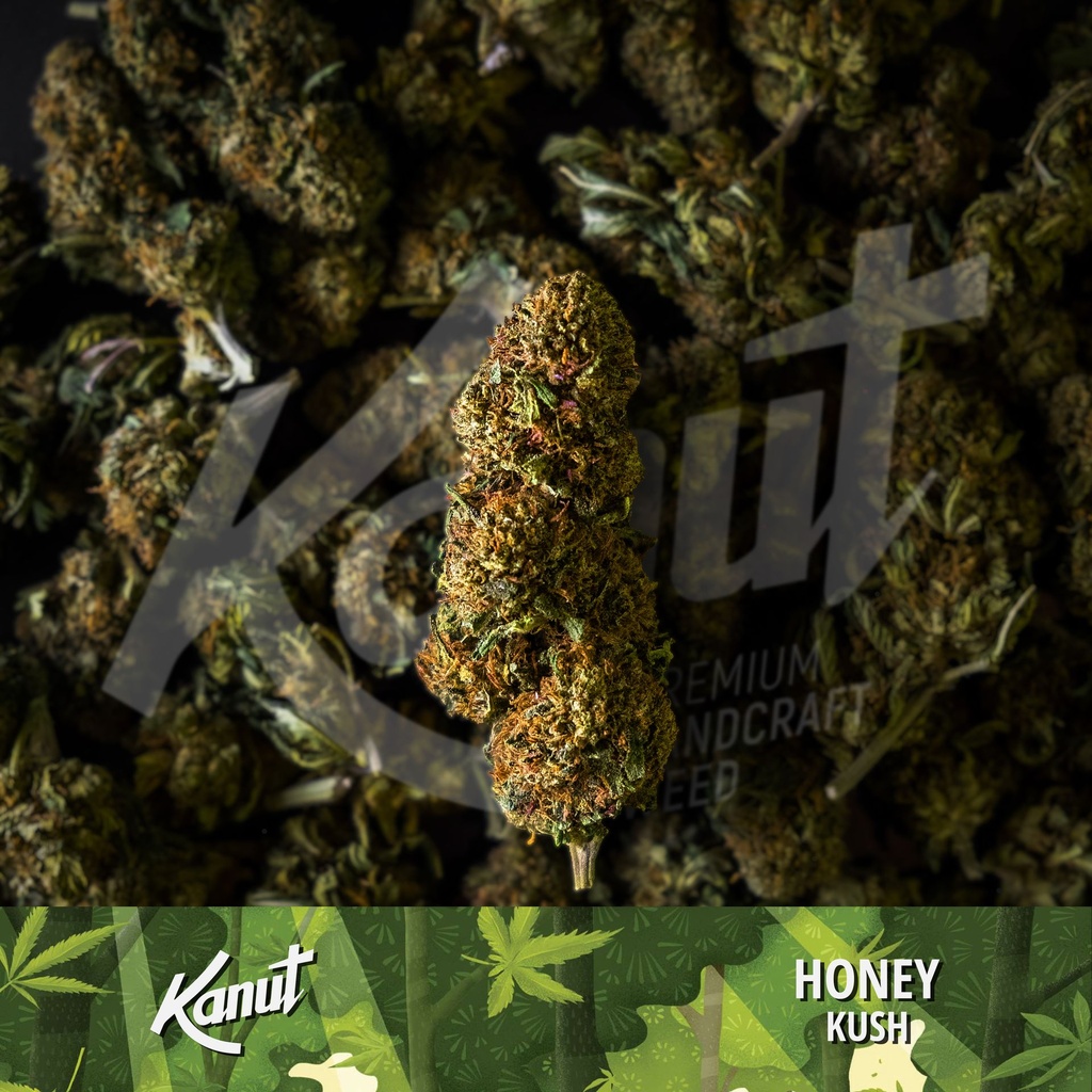 KANUT_Honey_Kushe_Lot.jpg