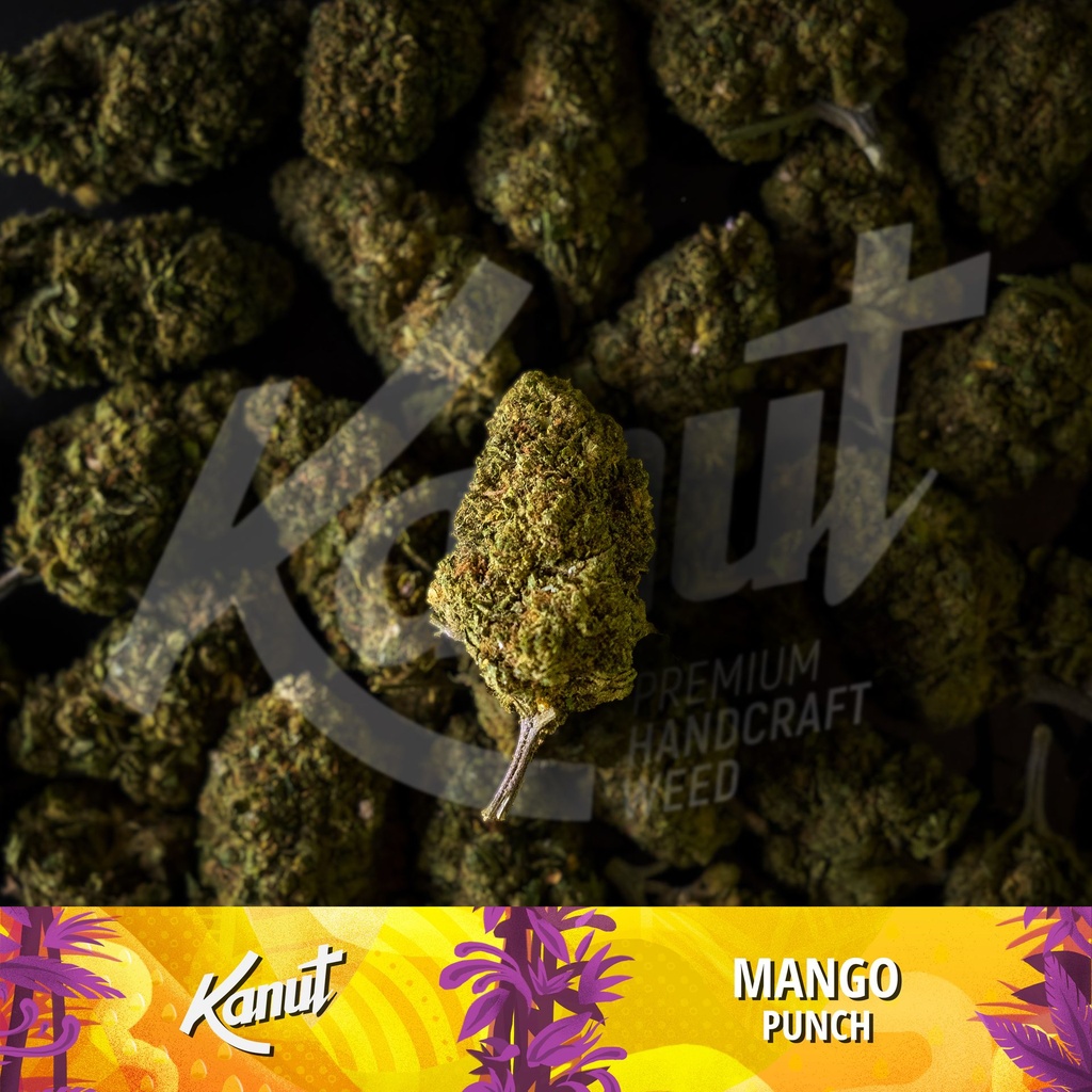 KANUT_Mango_Punch_Lot.jpg