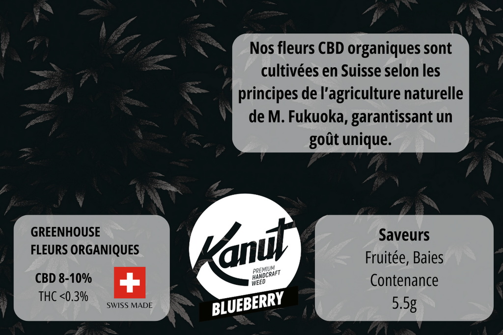 KANUT_BlueberryGreenhouse_5,5GR_Back.jpg