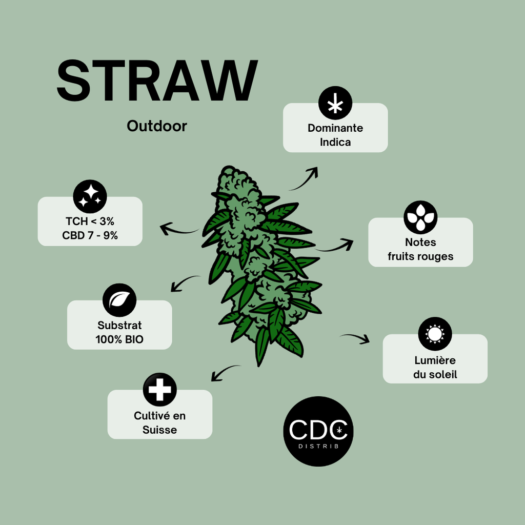 Vrac Straw-Mango Outdoor 1KG